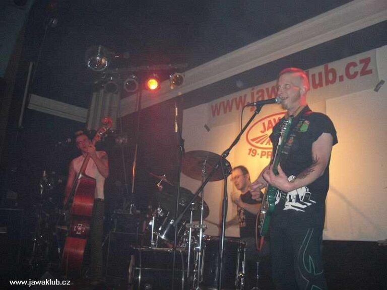 Plesy – Ples 2006