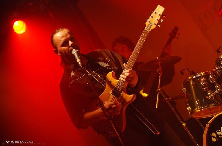 Plesy – Ples 2008
