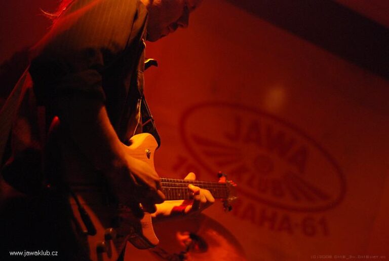 Plesy – Ples 2008