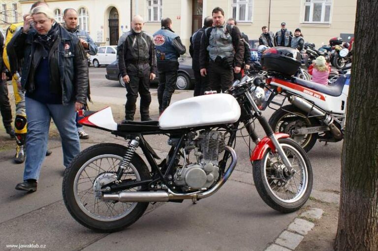 Zahajawačky – ZJ 2008