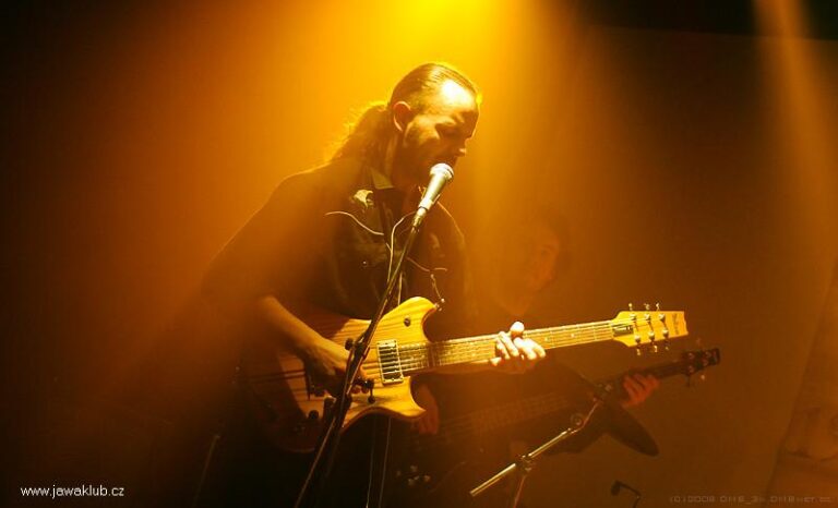 Plesy – Ples 2008