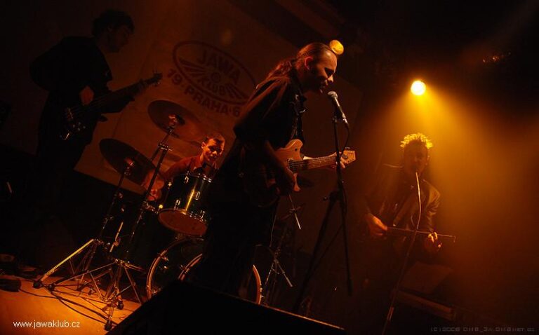 Plesy – Ples 2008