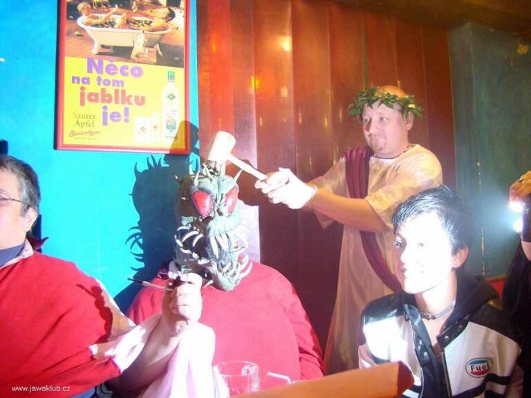 Plesy – Ples 2008