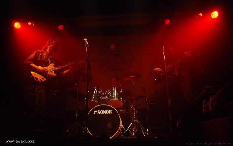 Plesy – Ples 2008